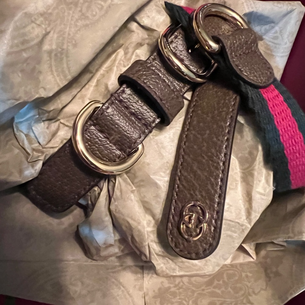 Gucci Dog Collar